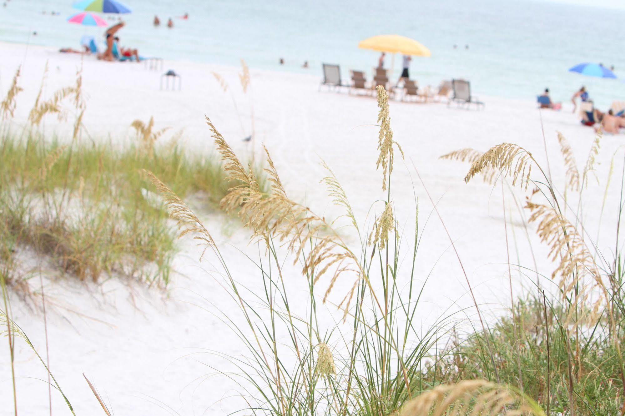 Beach Club At Siesta Key By Rva Exterior photo